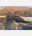 2019 Caterpillar 313FLGC - Caterpillar Excavators