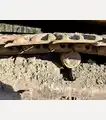 2006 Caterpillar 330DL - Caterpillar Excavators