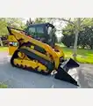 2019 Caterpillar 299D2 XPS - Caterpillar Skid Steers