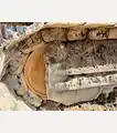 2015 Doosan DX350LC-5 - Doosan Excavators