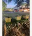  John Deere 3 Row Corn Planter - John Deere Spreaders