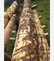  Komatsu 707-01-XZ511 Boom Cylinder - Komatsu Excavators
