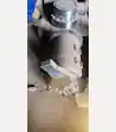  Komatsu Rotary Joint 15827540 - Komatsu Other Construction Equipment