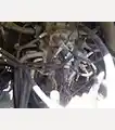 2013 SUMITOMO SH200-5 - SUMITOMO Excavators