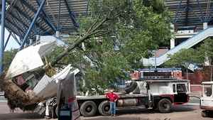 1993 Calavar Crane Carrier with Tree Spade - Calavar Other Construction Equipment