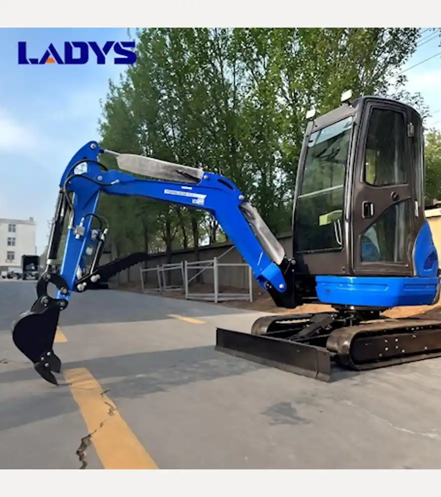 2025 LADYS DY25U Mini Excavator EPA Kubota Engine Diesel Mini Excavators For Sale - LADYS Excavators - ladys-excavators-dy25u-mini-excavator-epa-kubota-engine-diesel-mini-excavators-for-sale-da8de8f6-2.jpg