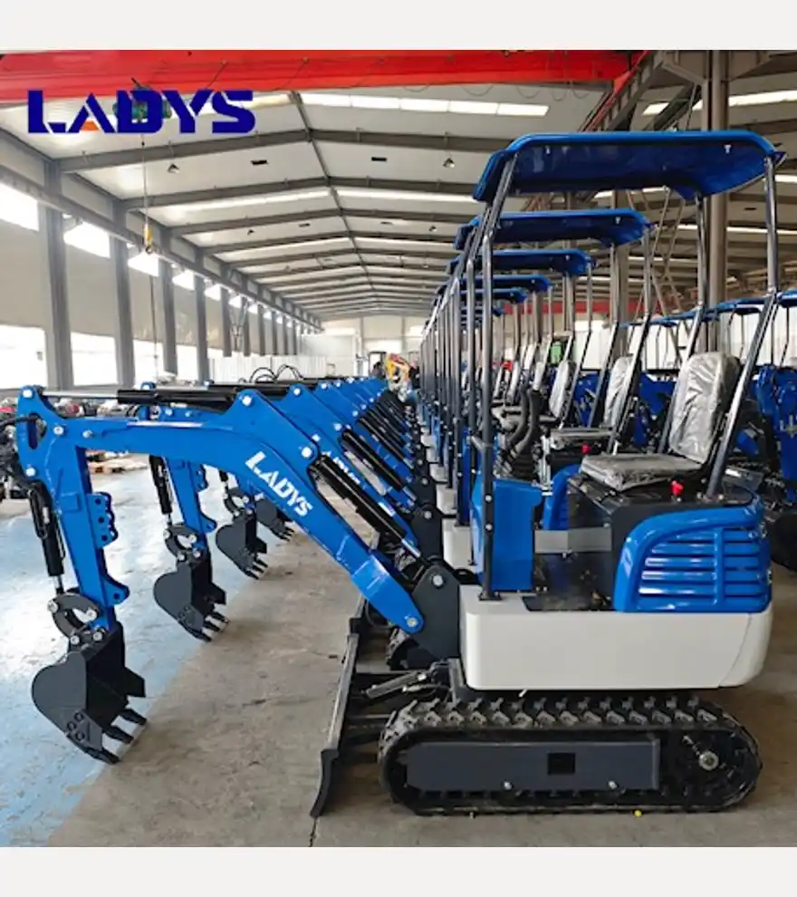 2025 LADYS DY12Pro Mini Excavator EPA Engine Mini Excavator For Sale - LADYS Excavators - ladys-excavators-ladys-dy12pro-mini-excavator-epa-engine-mini-excavator-for-sale-3dabcd9a-3.jpg